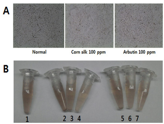 Molecules 19 02808 g001 550