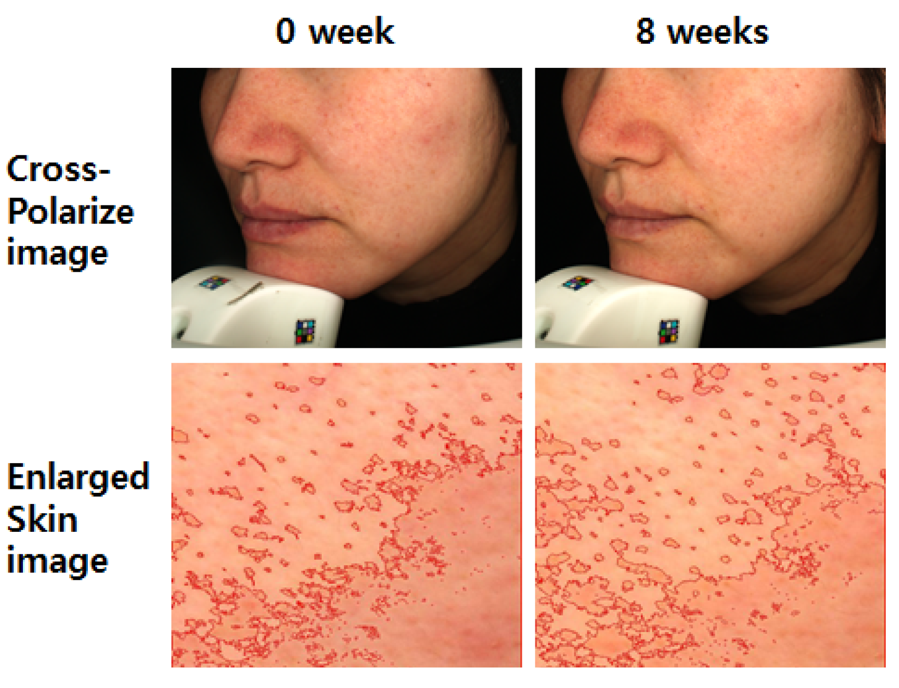 Molecules 19 02808 g006