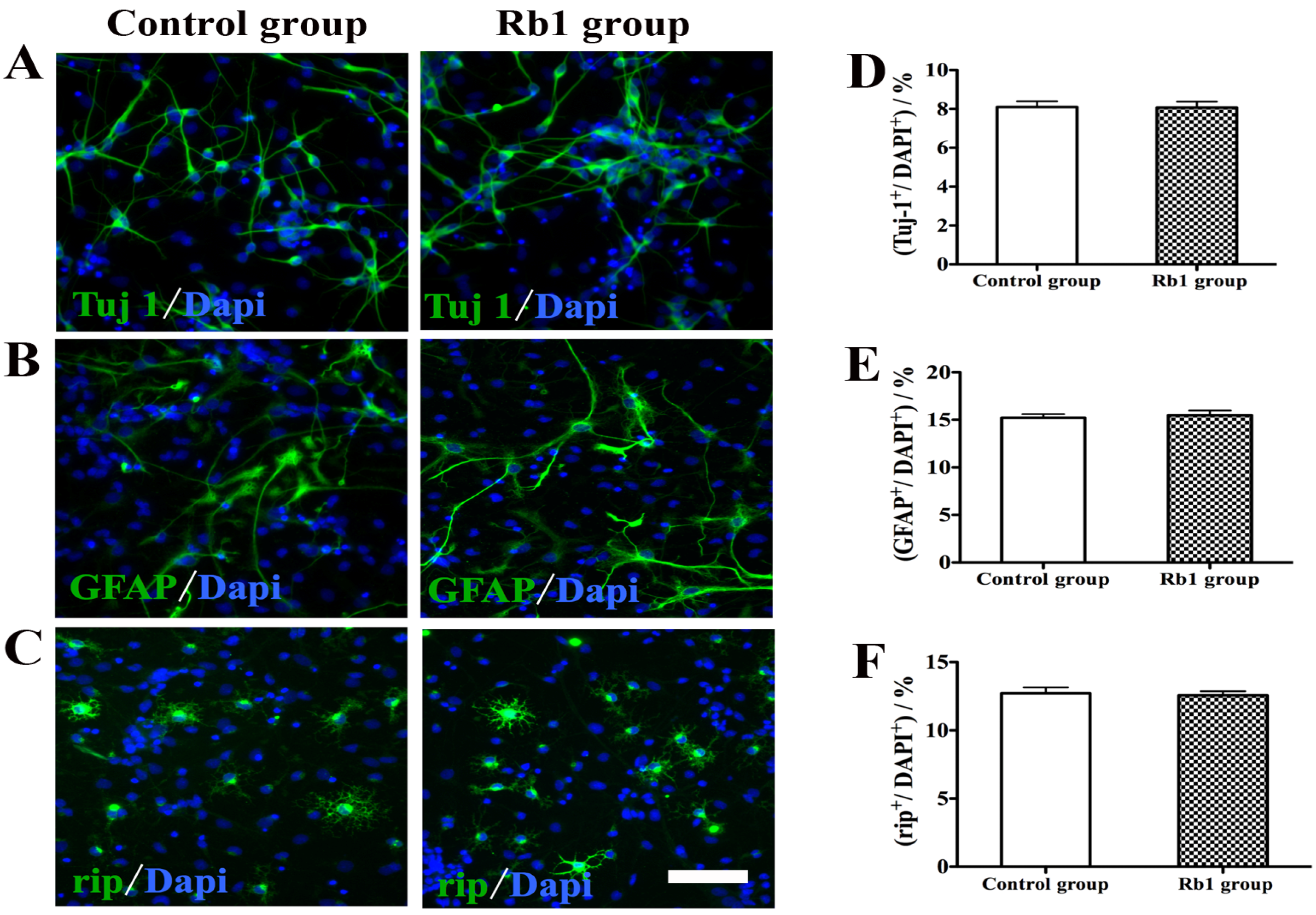 Molecules 19 03012 g005