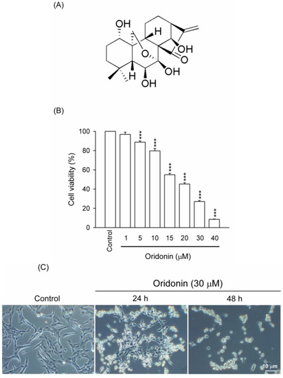 Molecules 19 03327 g001 550