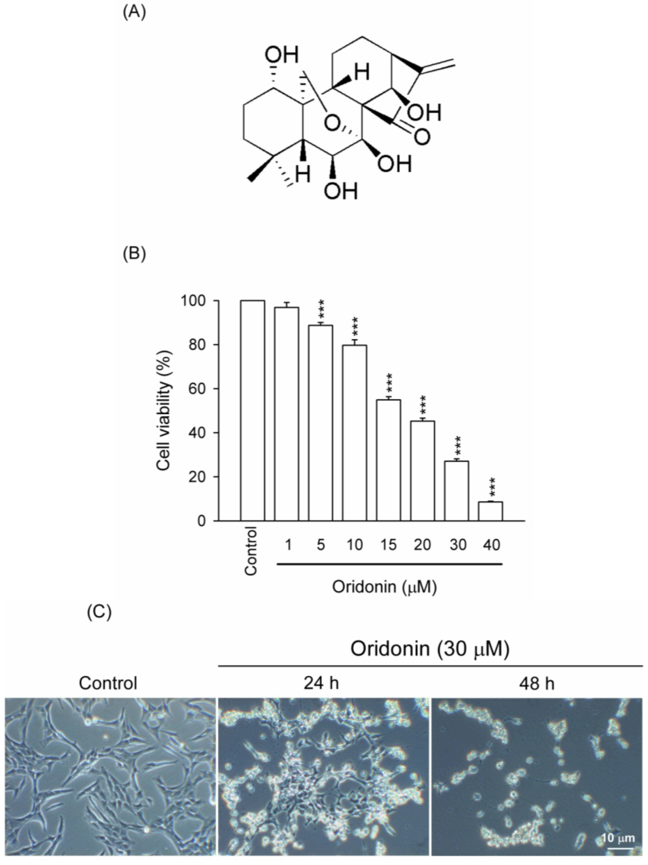 Molecules 19 03327 g001