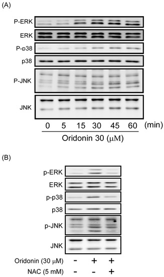 Molecules 19 03327 g007 550
