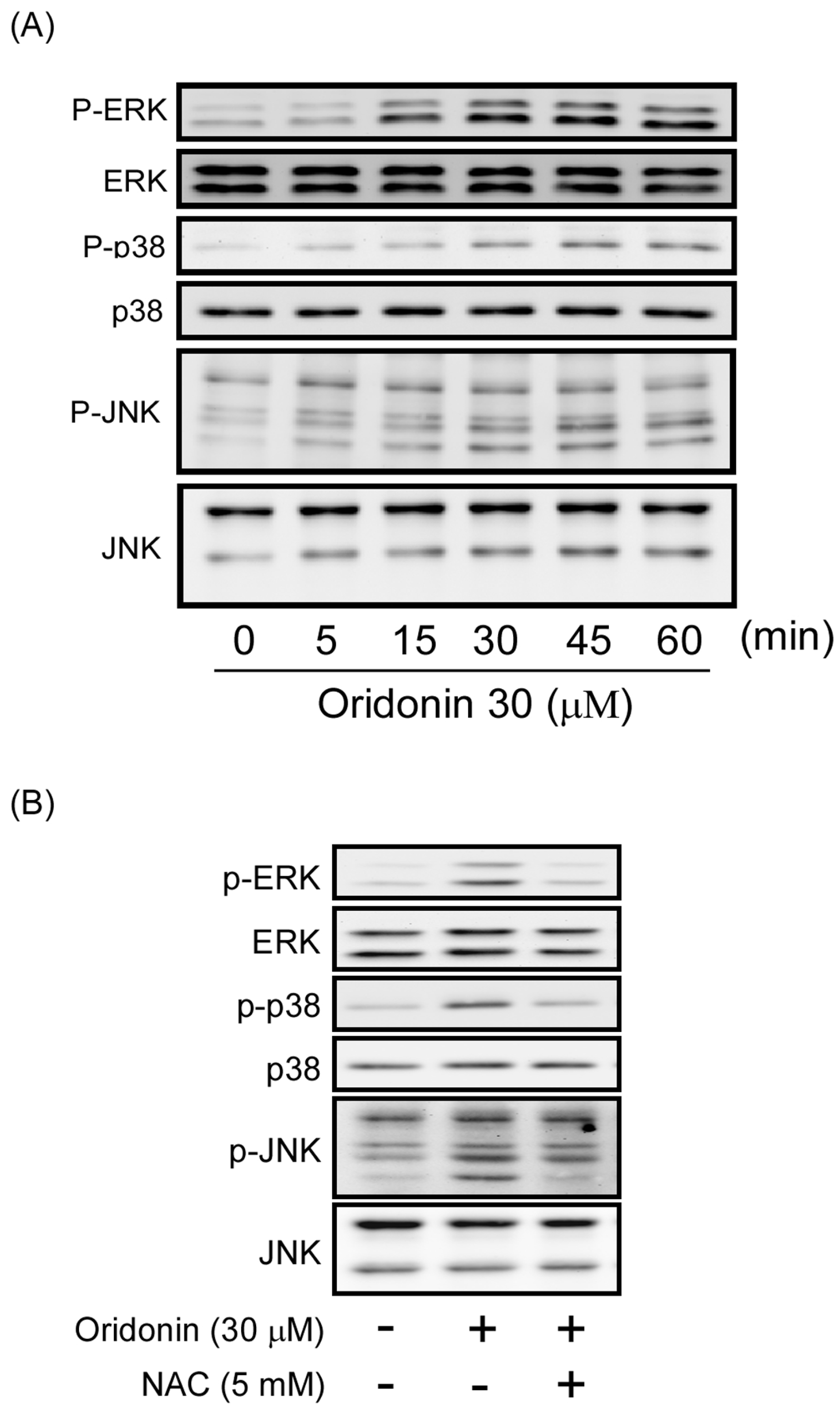 Molecules 19 03327 g007