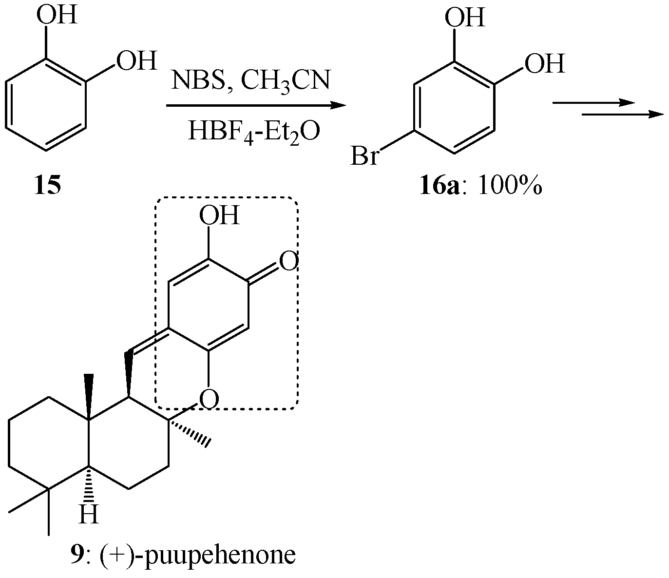 Molecules 19 03401 g009