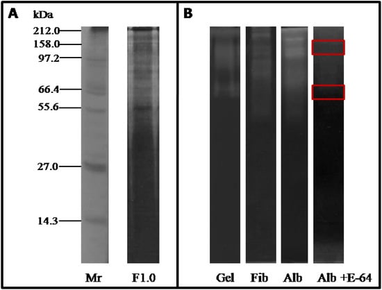 Molecules 19 03552 g002 550