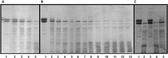 Molecules 19 03552 g003 550