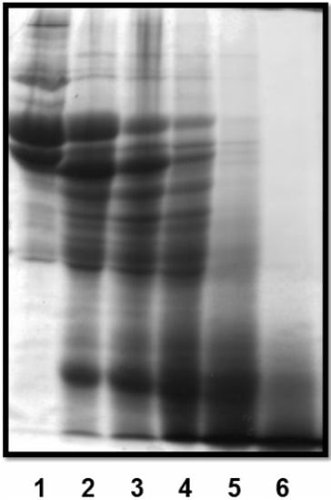 Molecules 19 03552 g004 550