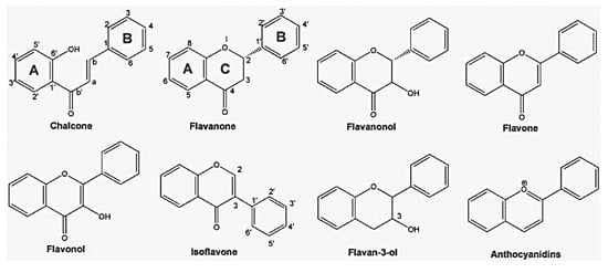 Molecules 19 03570 g001 550