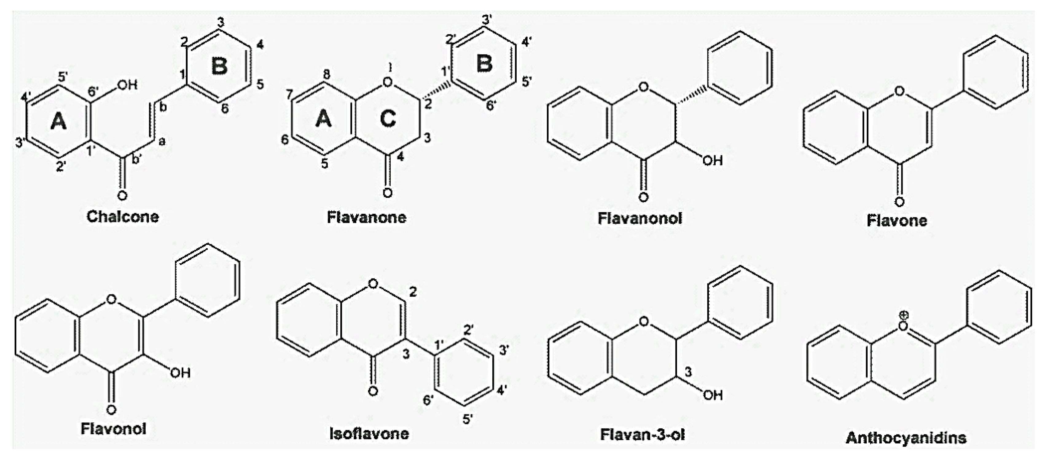 Molecules 19 03570 g001