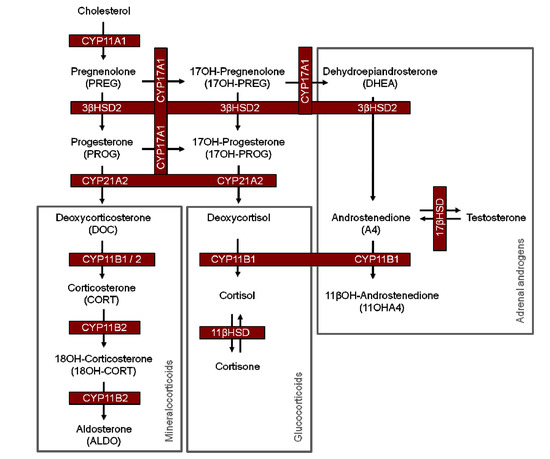 Molecules 19 03681 g002 550