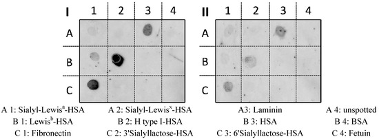 Molecules 19 03696 g006 550
