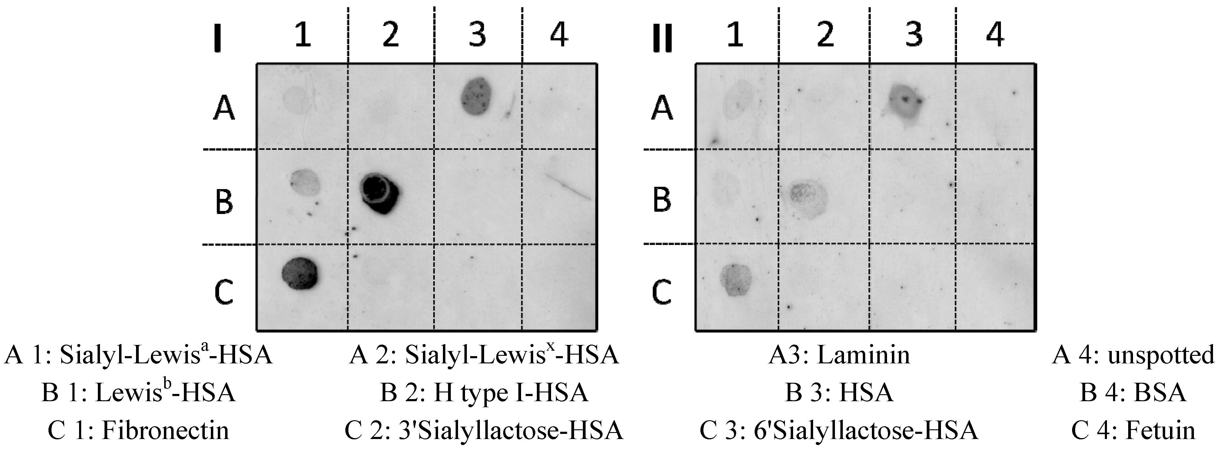 Molecules 19 03696 g006