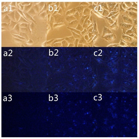 Molecules 19 03761 g001 550