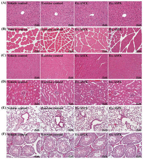 Molecules 19 03926 g005 550