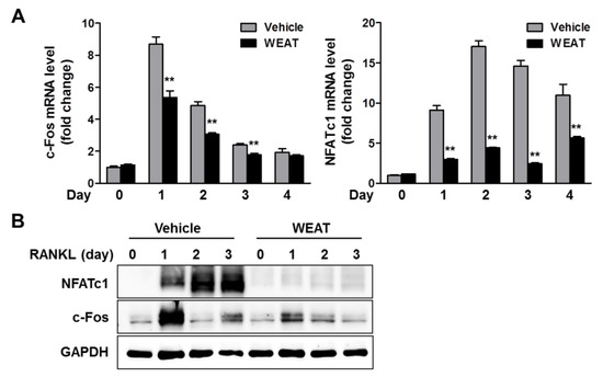 Molecules 19 03940 g002 550