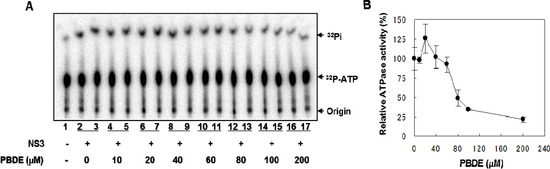 Molecules 19 04006 g002 550
