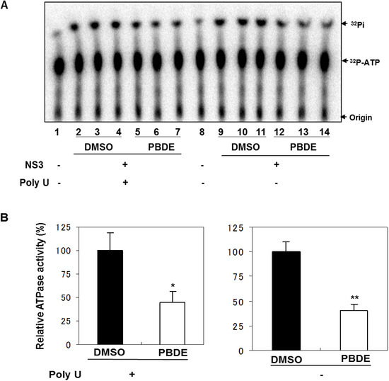 Molecules 19 04006 g005 550
