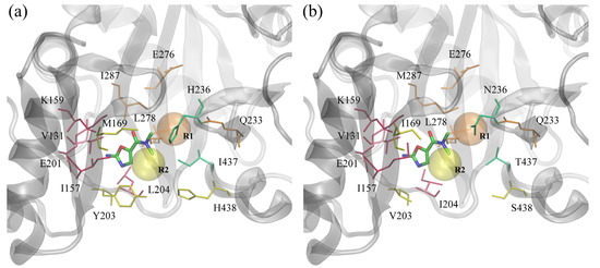 Molecules 19 04021 g006 550