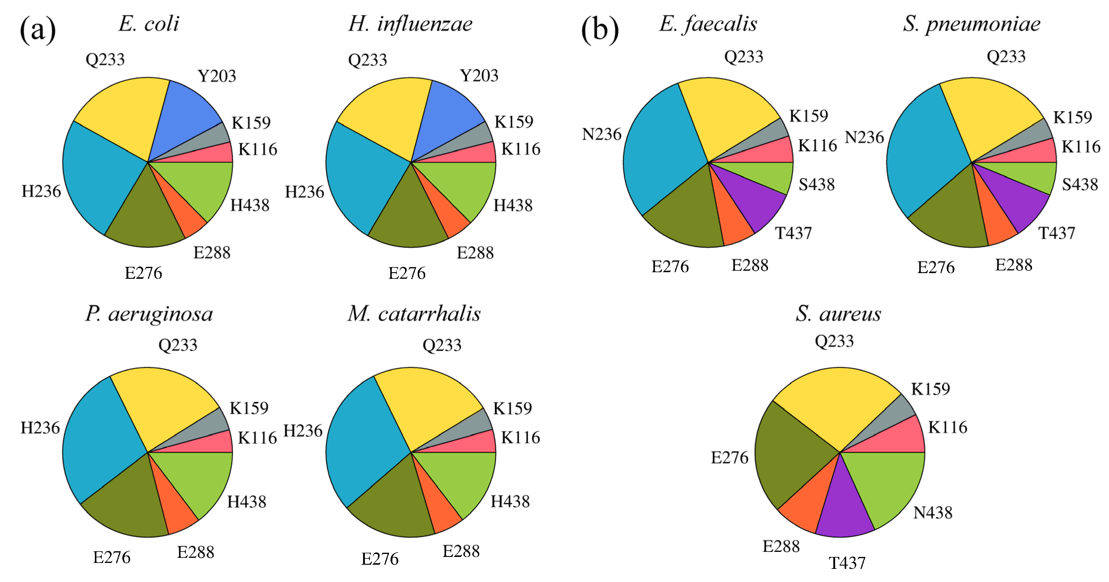 Molecules 19 04021 g010