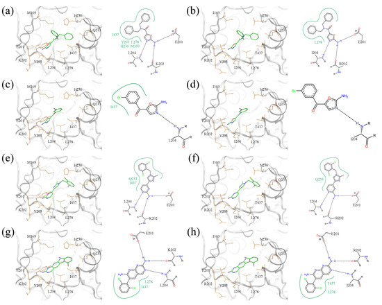 Molecules 19 04021 g011 550