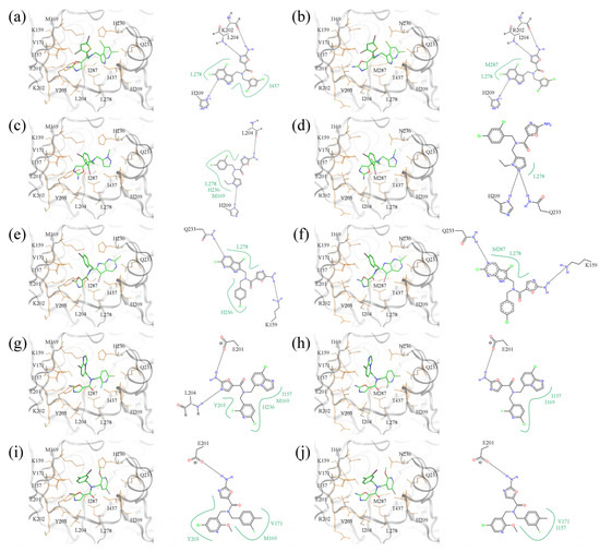Molecules 19 04021 g012 550