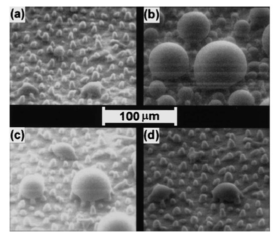 Molecules 19 04256 g004 550