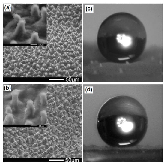 Molecules 19 04256 g007 550