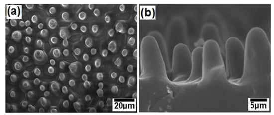 Molecules 19 04256 g008 550