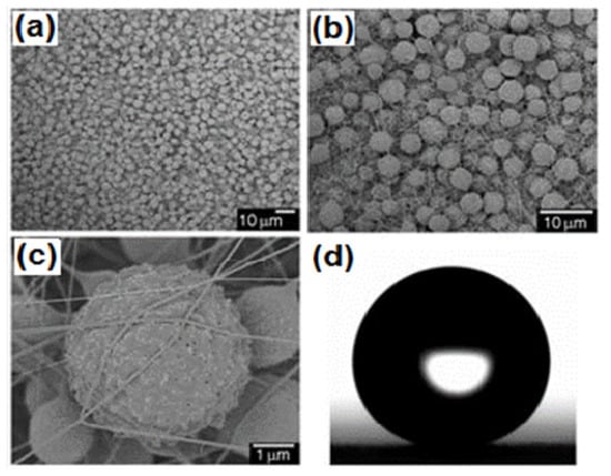 Molecules 19 04256 g009 550
