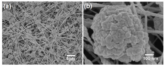 Molecules 19 04256 g010 550