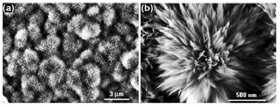 Molecules 19 04256 g014 550