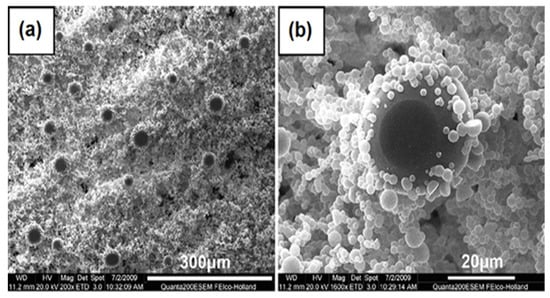 Molecules 19 04256 g016 550