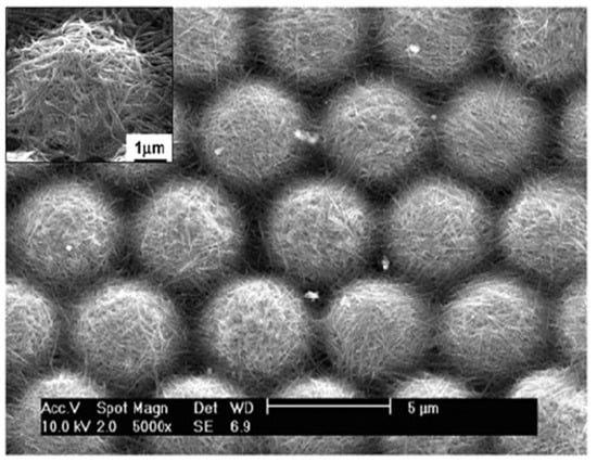 Molecules 19 04256 g017 550