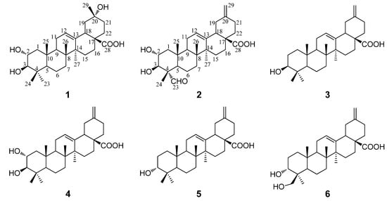 Molecules 19 04301 g001 550