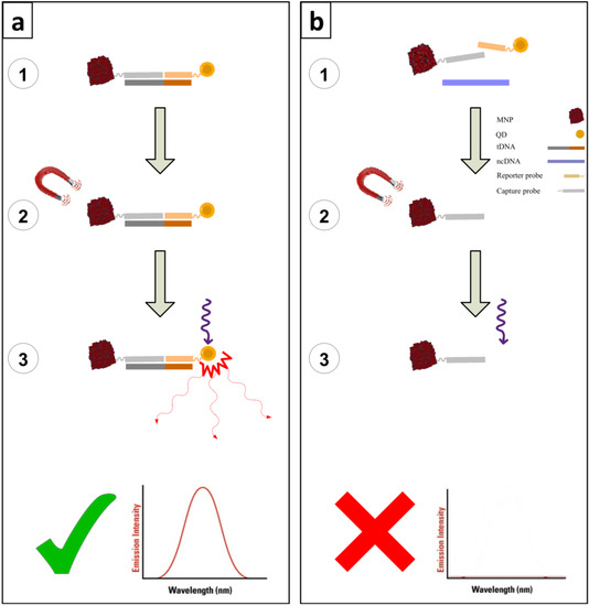 Molecules 19 04355 g001 550