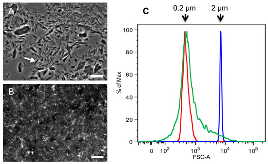 Molecules 19 04433 g002 550
