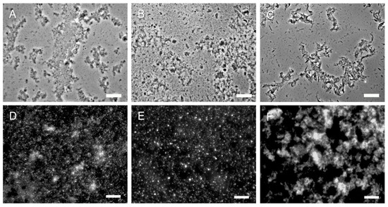 Molecules 19 04433 g005 550