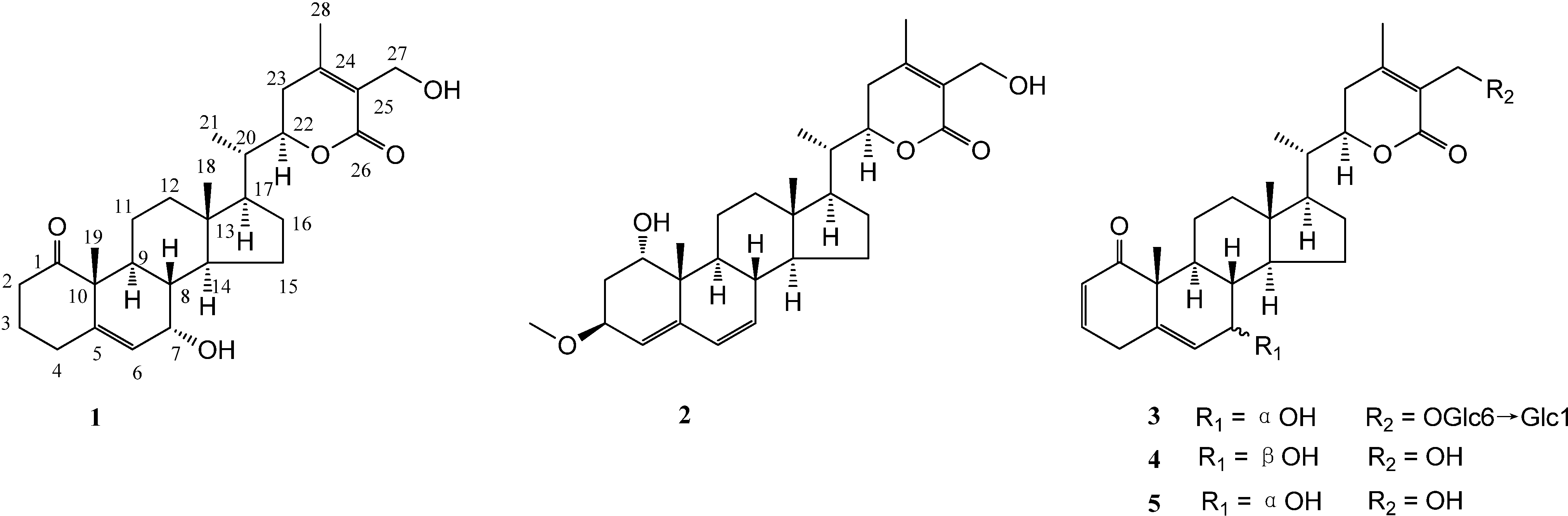 Molecules 19 04548 g001