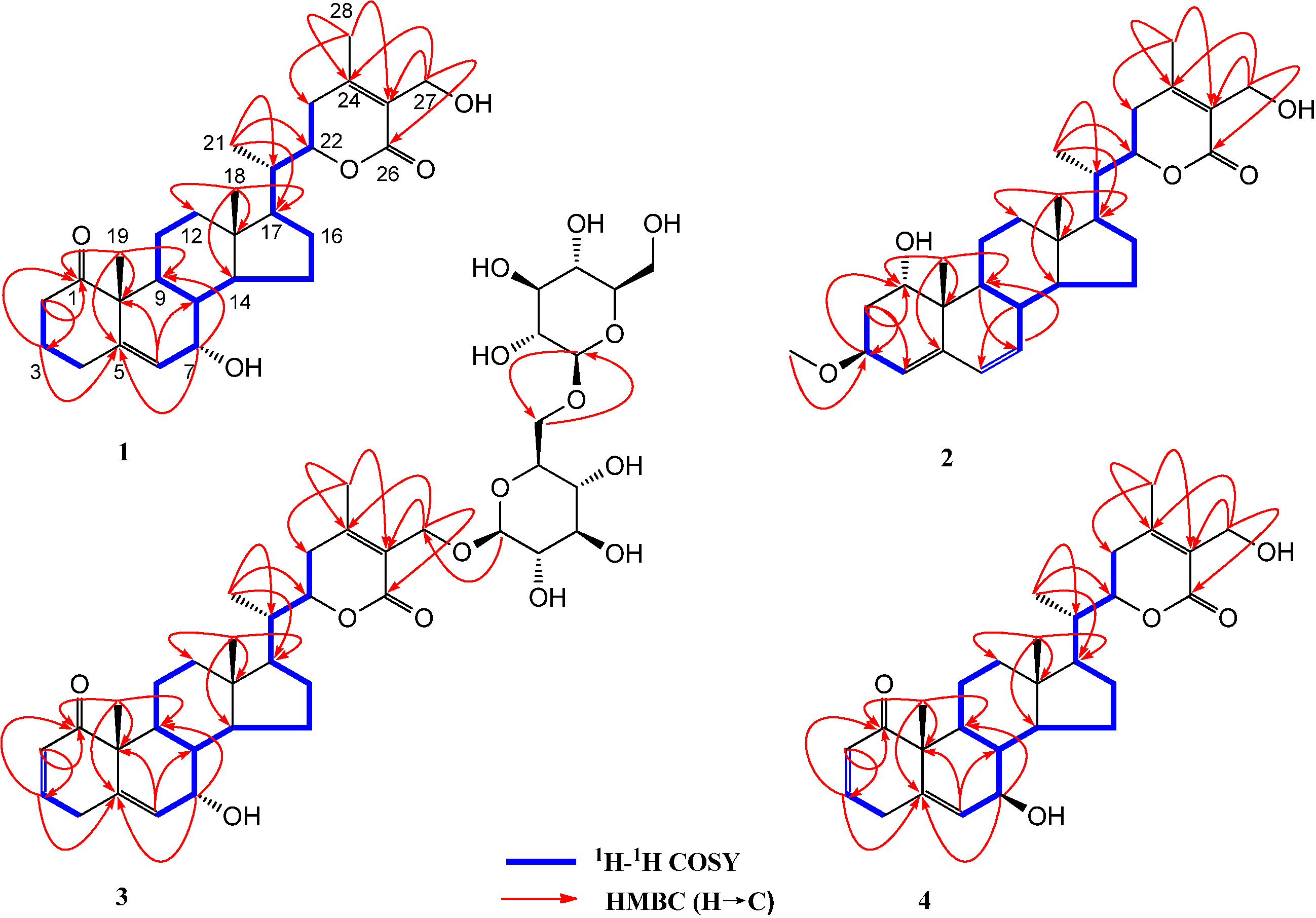 Molecules 19 04548 g002