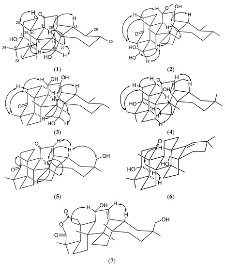 Molecules 19 04608 g004 550