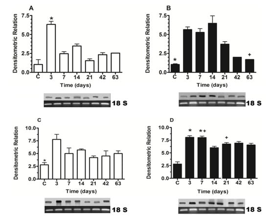 Molecules 19 04654 g001 550