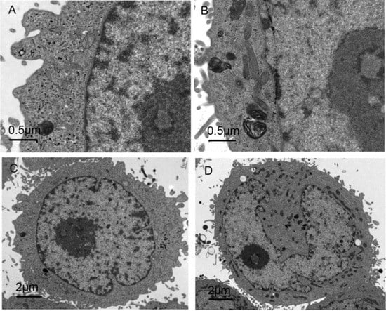 Molecules 19 04941 g006 550