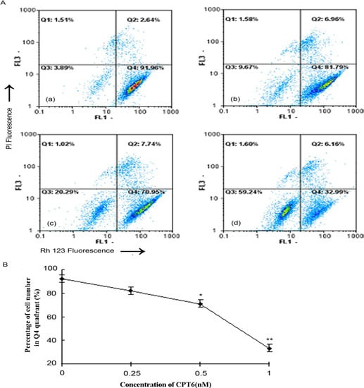 Molecules 19 04941 g007 550