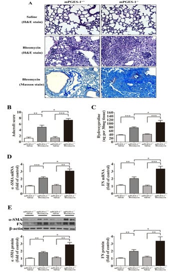 Molecules 19 04967 g001 550