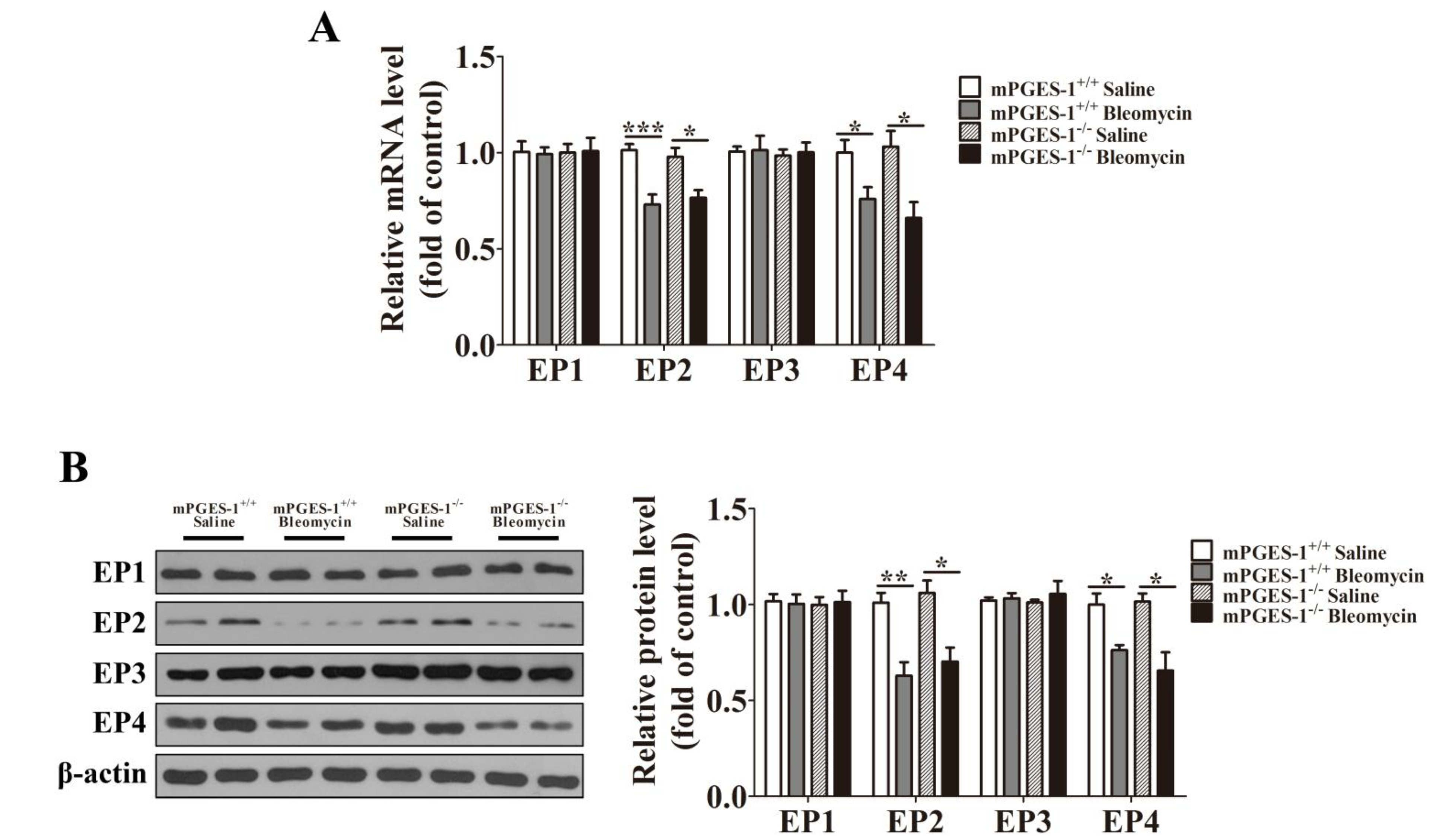 Molecules 19 04967 g003