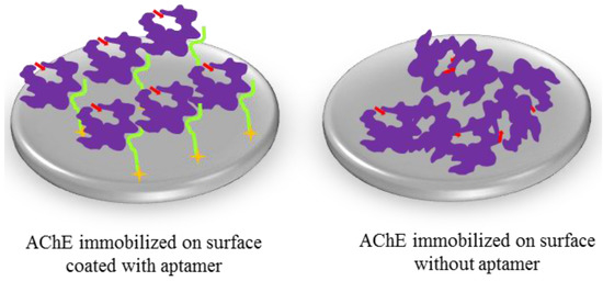 Molecules 19 04986 g001 550