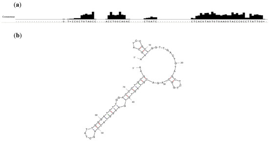 Molecules 19 04986 g002 550