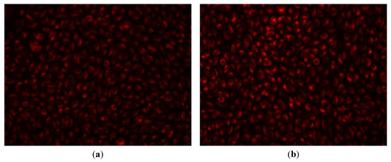 Molecules 19 05013 g007 550