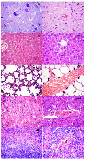 Molecules 19 05013 g012 550