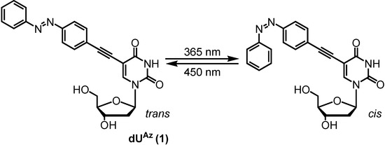 Molecules 19 05109 g001 550